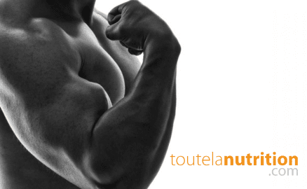 Le meilleur exercice pour les biceps que vous n'avez jamais essayé !