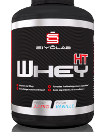 Tout savoir sur la whey protéine : questions fréquentes