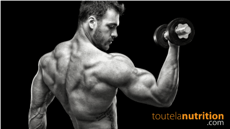 Augmentez votre congestion musculaire et votre vascularité !