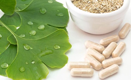 Ginkgo biloba : bienfaits et vertus