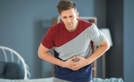 Digestion, développement musculaire et perte de poids