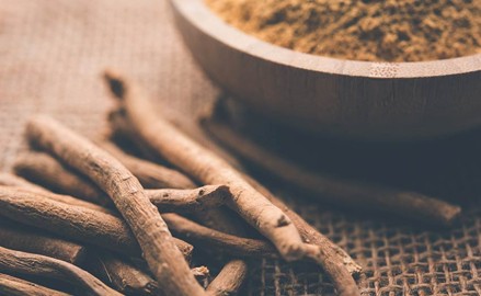 L’Ashwagandha, la plante ayurvédique anti-stress