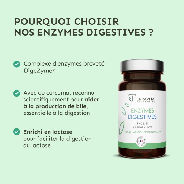 Enzymes digestives