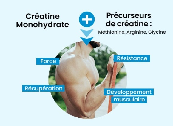 Crea + HT eiyolab bénéfices