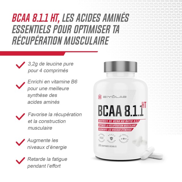 BCAA 8.1.1 HT