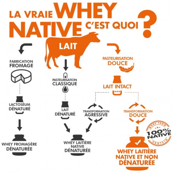 Whey 100% Native