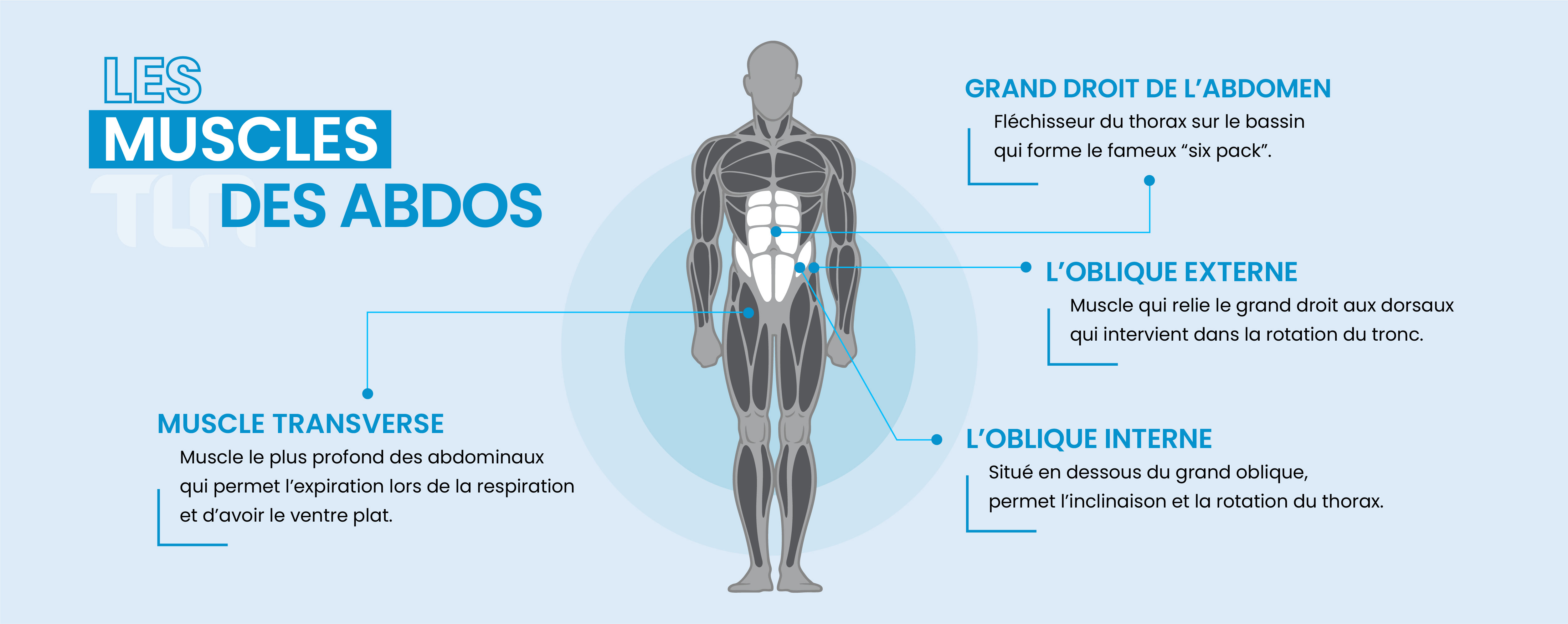 programme abdos et muscles à solliciter TLN